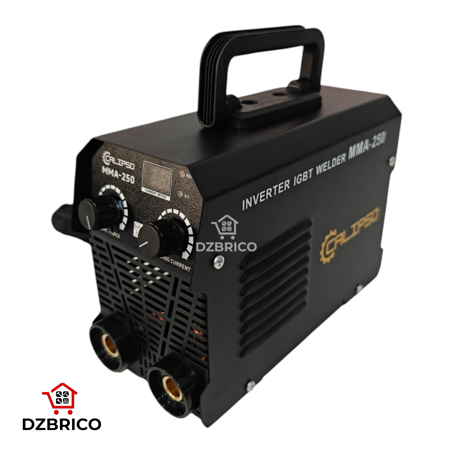 Poste a souder Inverter 250A CALIPSO
