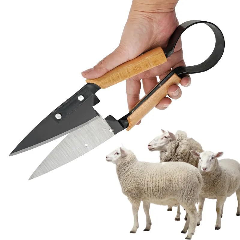 Cisaille à moutons