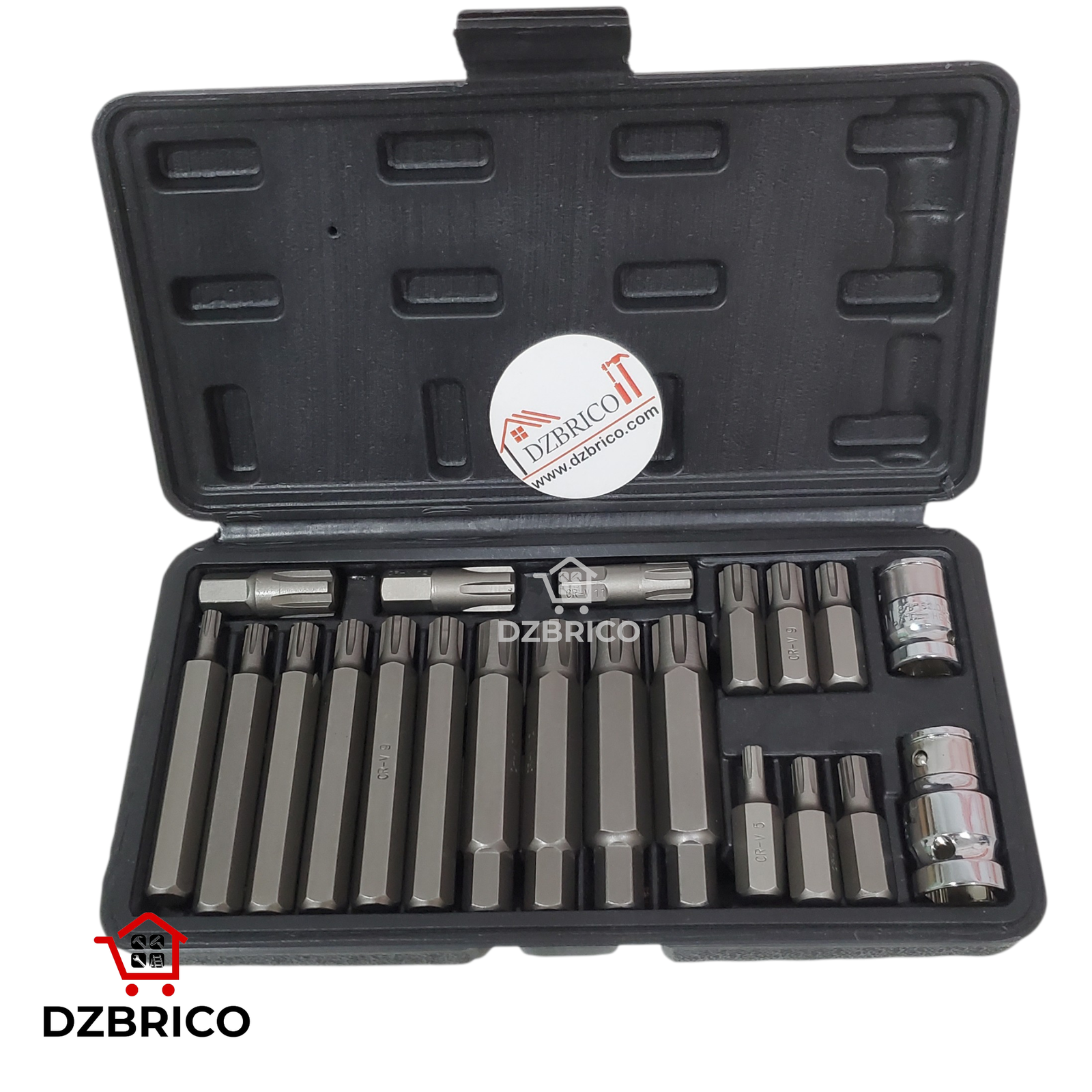 Mini Coffret D’embouts torx 21pcs DYNAMO