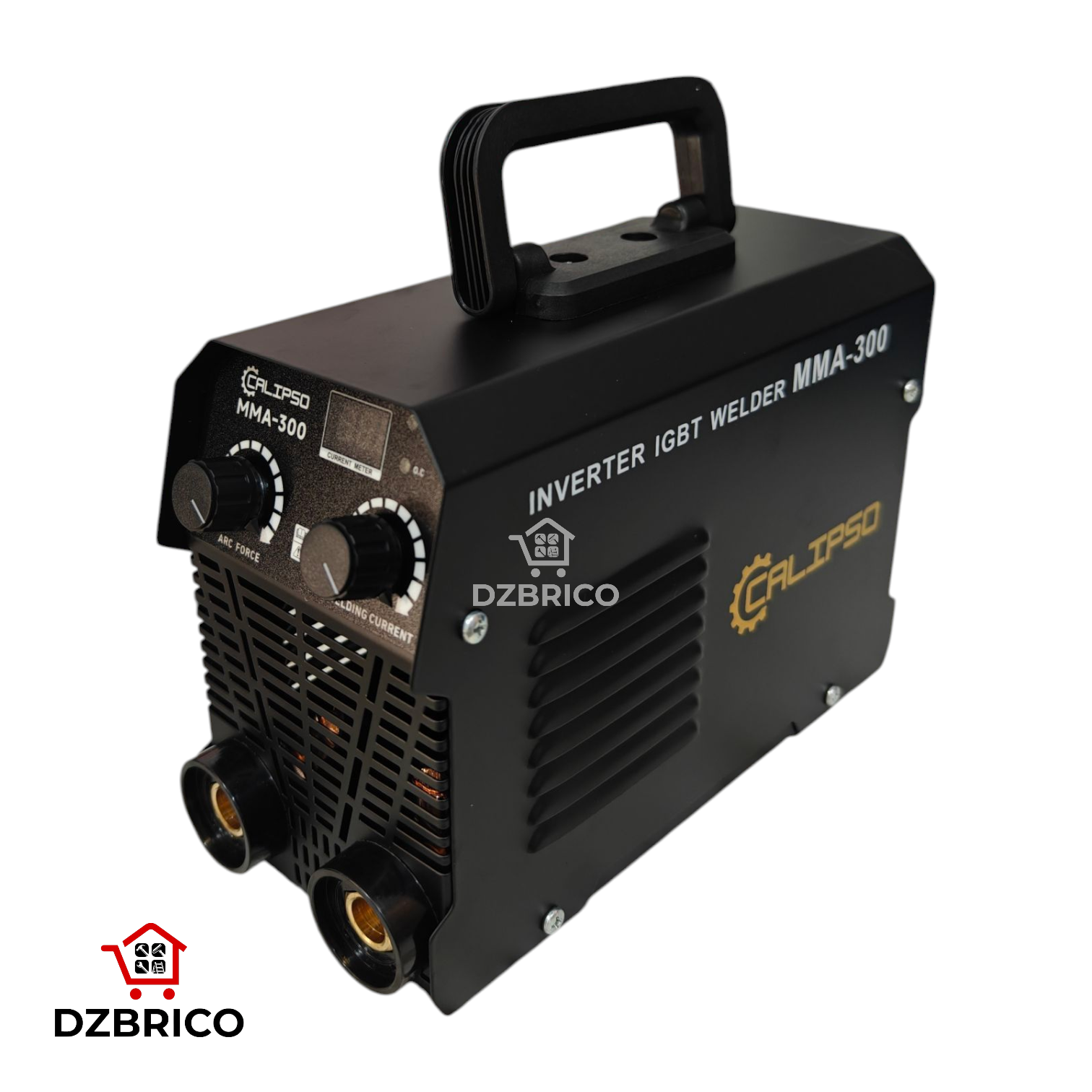 Poste a souder Inverter 300A CALIPSO