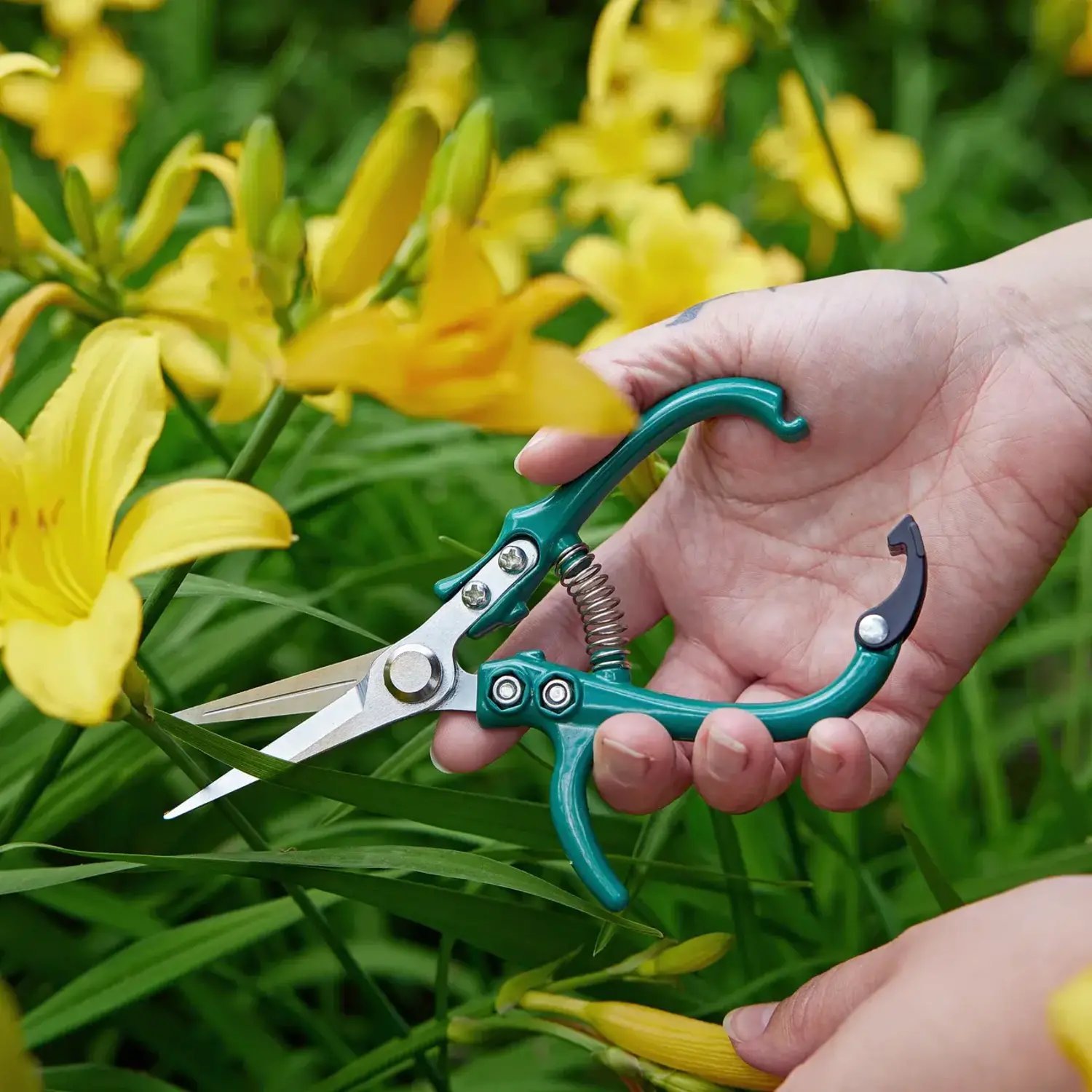 Ciseaux de jardin lavande STARCLE