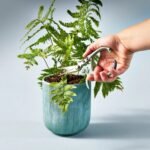 Ciseaux de jardin lavande STARCLE – Image 3